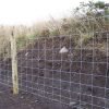 Hinge Joint Fence - For Cattle & Goat - Image 2
